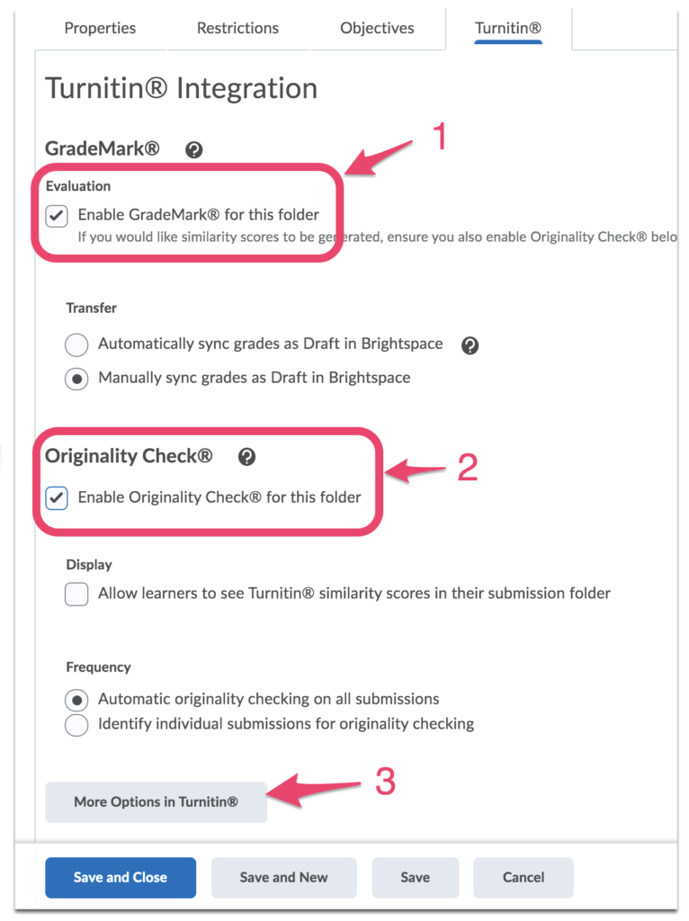 what does turnitin check